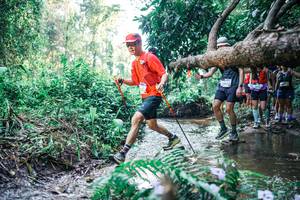 BIB: 
                            <button type="button" onclick="openModal(25445772)" class="btn btn-primary btn-sm float-right btn-popup" data-toggle="modal" data-target=".modal-high-quality">
                        <i class="fas fa-shopping-cart"></i> Add to Cart
                    </button>
                                            <button type="button" onclick="isThisMe(25445772, true)" class="btn btn-success btn-sm float-right btn-popup btn-isme hidden" data-toggle="tooltip" data-placement="bottom" title="นี่คือรูปของคุณใช่ไหม คลิกที่นี่เพื่อเอาเข้าอัลบั้ม">
                        <i class="fas fa-plus"></i> Add to album
                    </button>
                    <button type="button" onclick="isThisMe(25445772, false)" class="btn btn-warning btn-sm float-right btn-popup btn-isnotme hidden">
                        <i class="fas fa-ban"></i> Remove from album
                    </button>